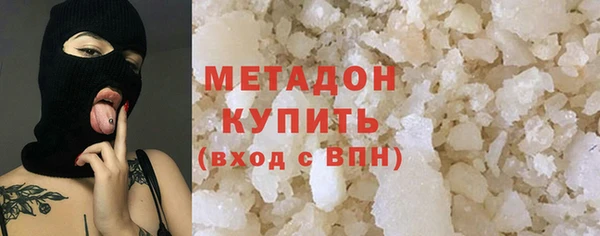 индика Няндома