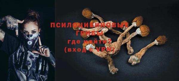 тгк Новокубанск
