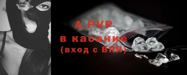 ПСИЛОЦИБИНОВЫЕ ГРИБЫ Новозыбков