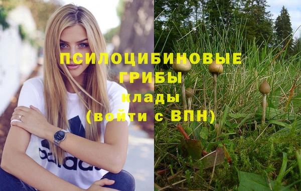 марихуана Арсеньев