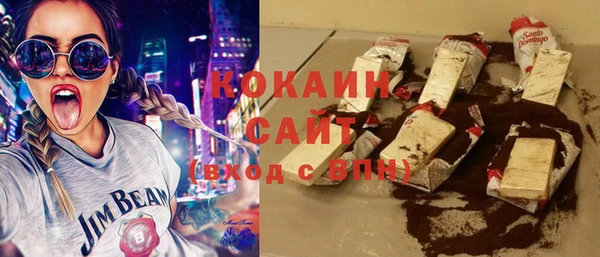 индика Няндома