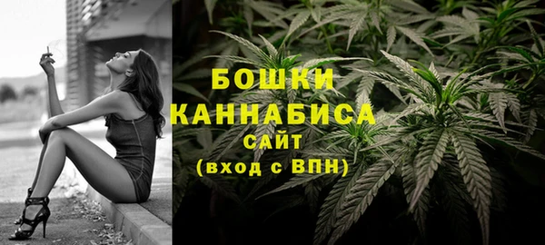 МДПВ Новодвинск
